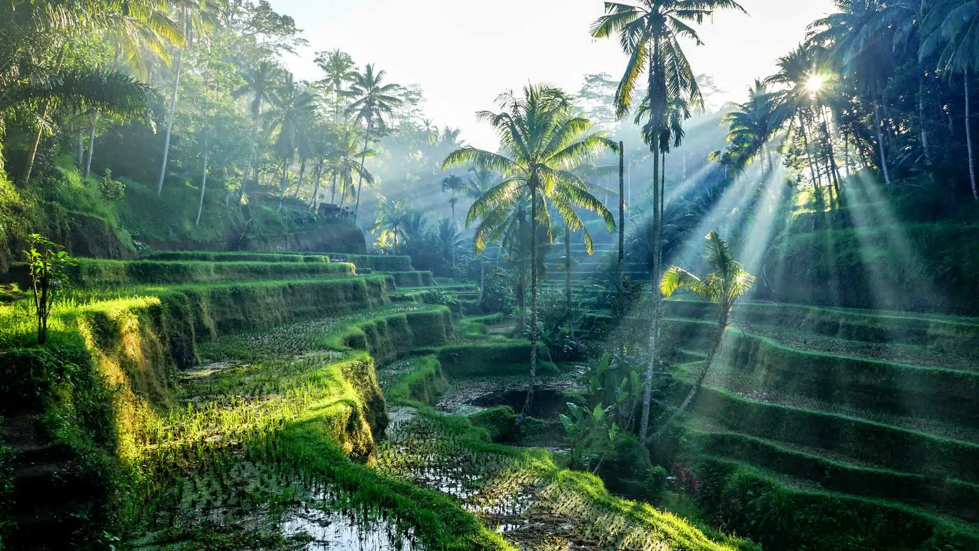 BEST BALI TRAVEL